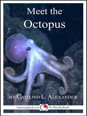 cover image of Meet the Octopus